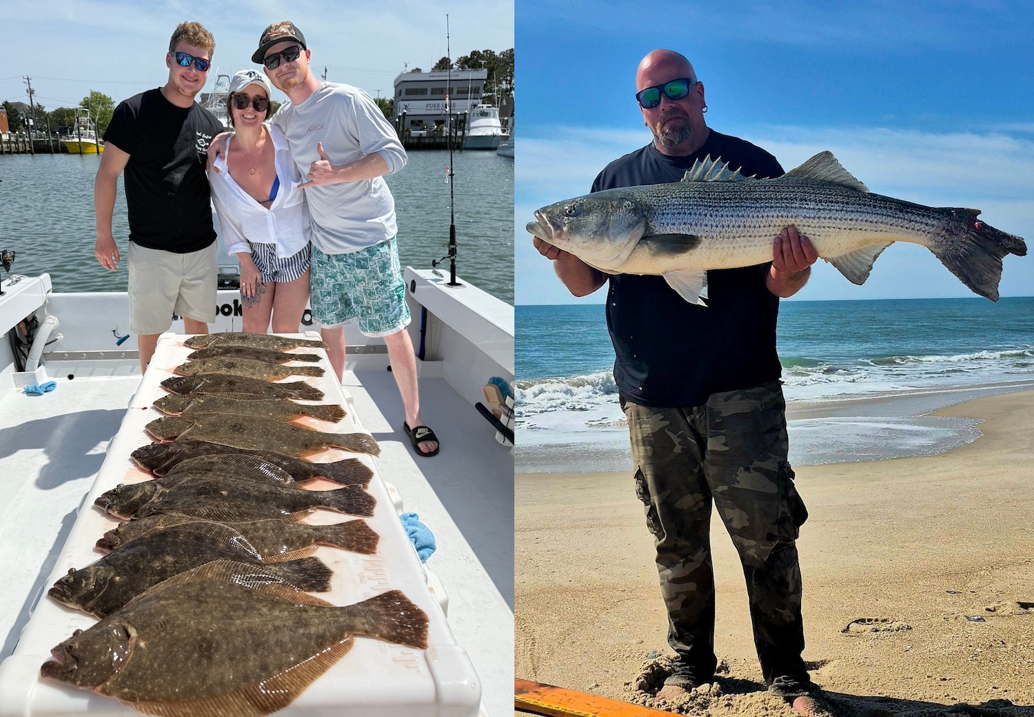 Limits of Flounder and Bluefish and A 49″ Striper From the Assateague Surf