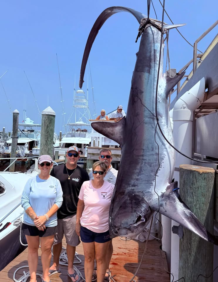 Lady Angler Catches 560 Pound Thresher