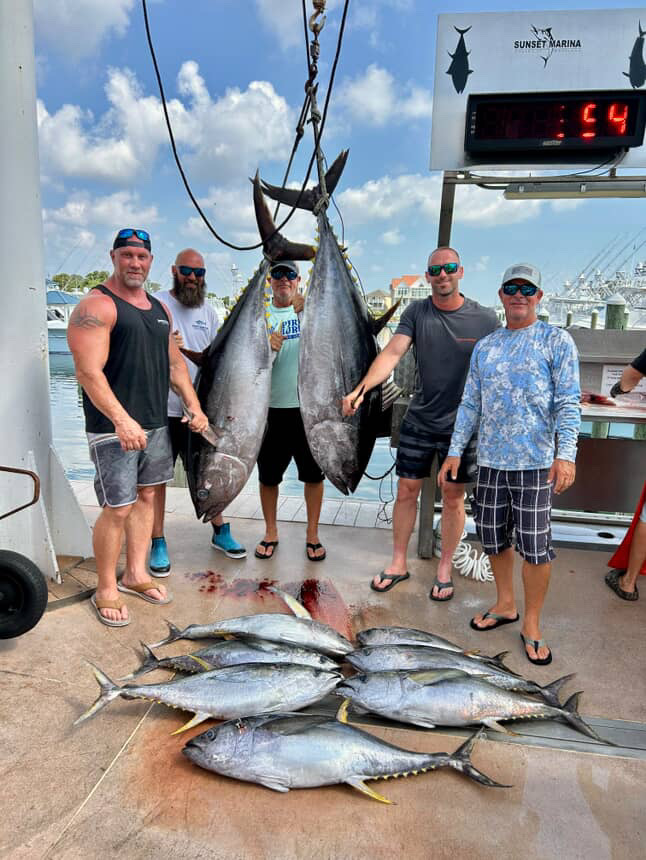 BIG Bigeye Tuna in the Deep