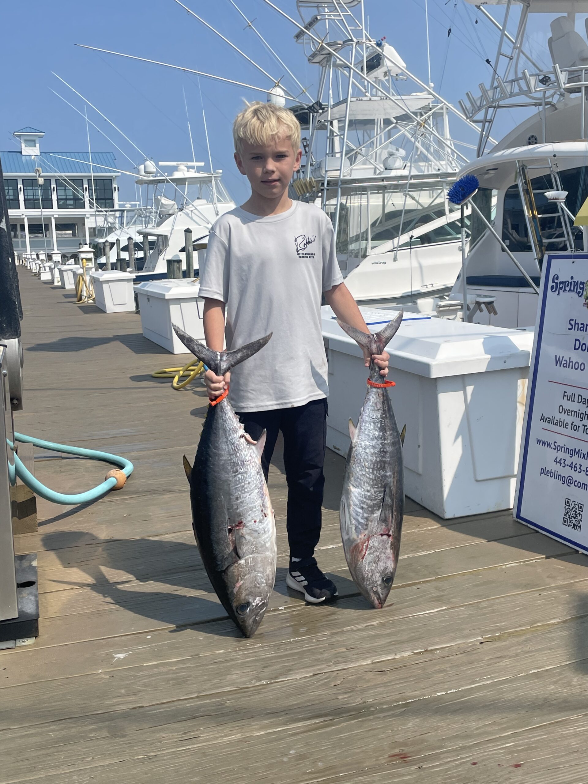 Bluefins, Bluelines and Black Sea Bass