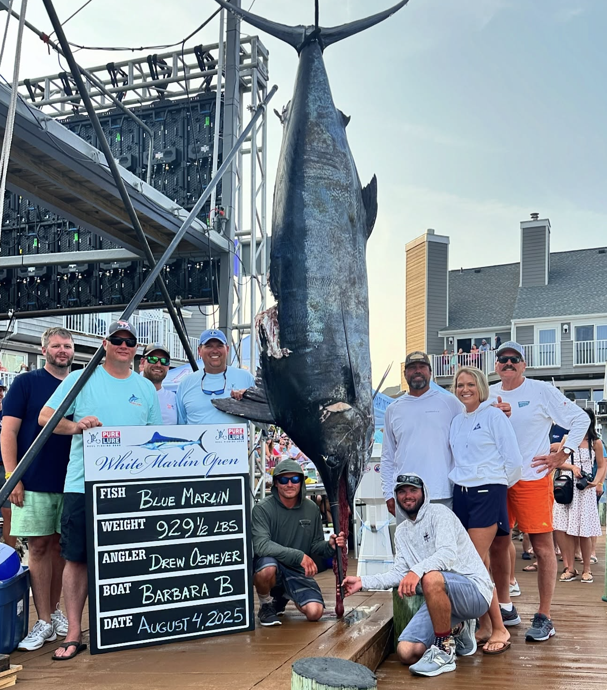 929.5 Pound Blue Marlin Currently Worth $4.4 Million Lands on Day 1 of the 52nd Annual White Marlin Open