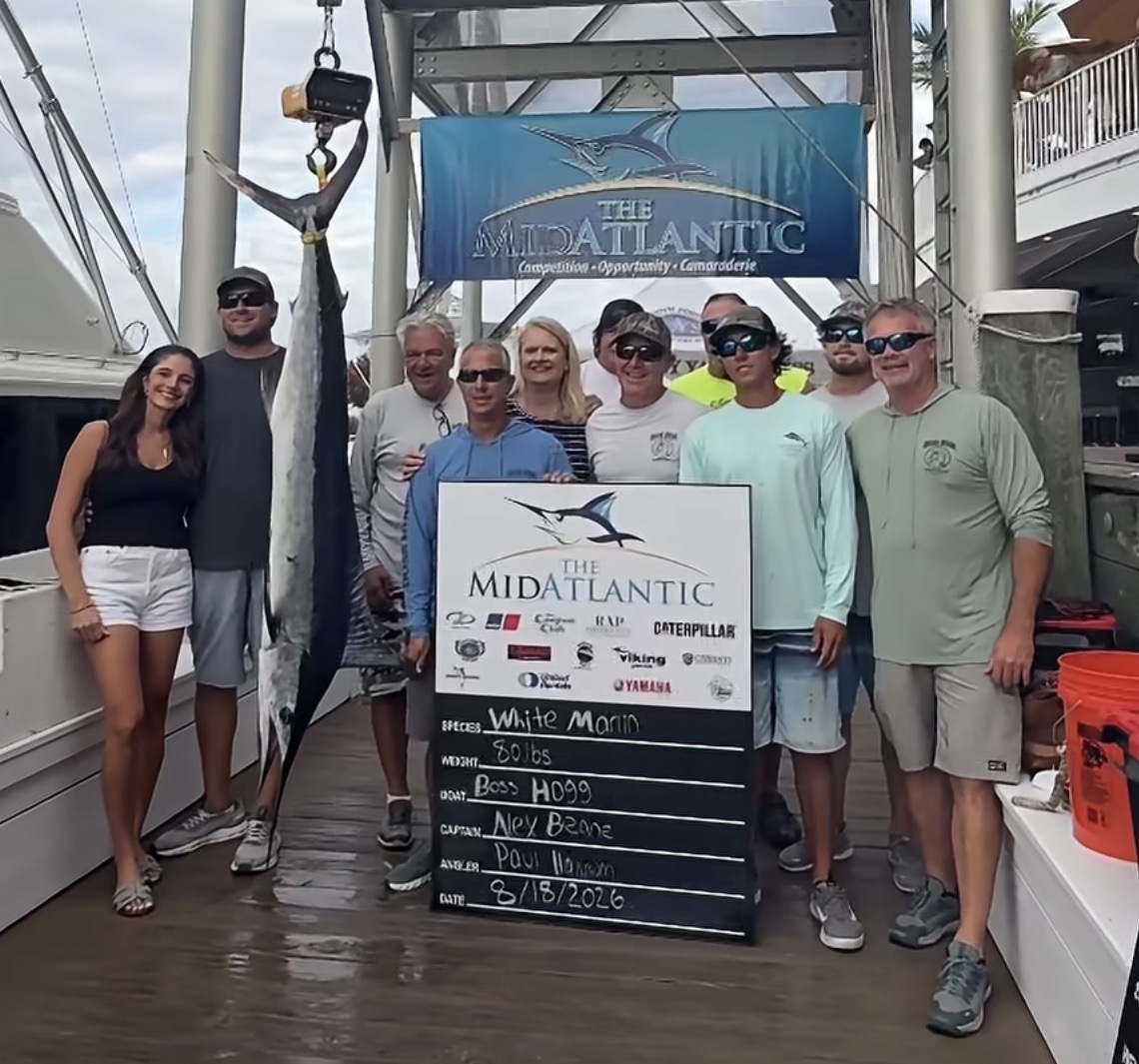 Boss Hogg’s 80 Pound White Marlin is Currently Worth Over $2.3 Million After Day 2 of the 2026 MidAtlantic Tournament