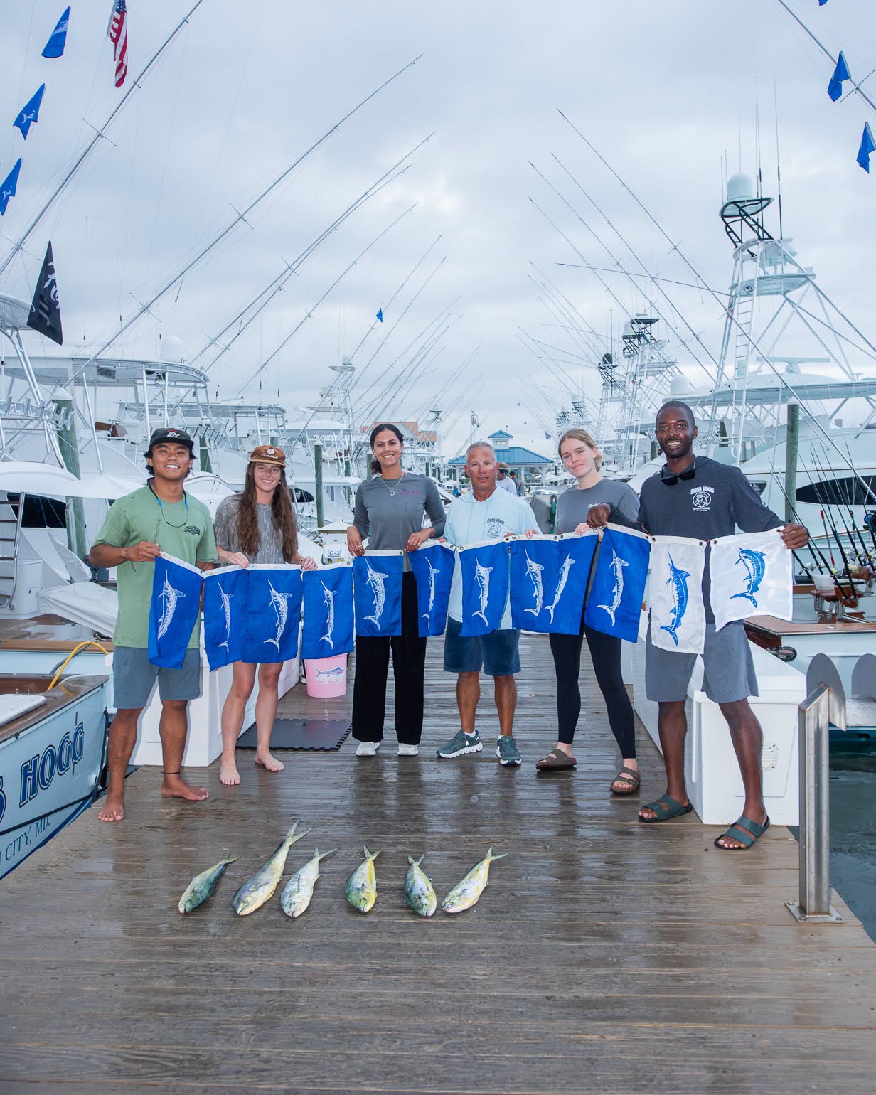 Billfish, Mahi, Flounder, Sea Bass and Some Big Red Drum On the Chesapeake Bay