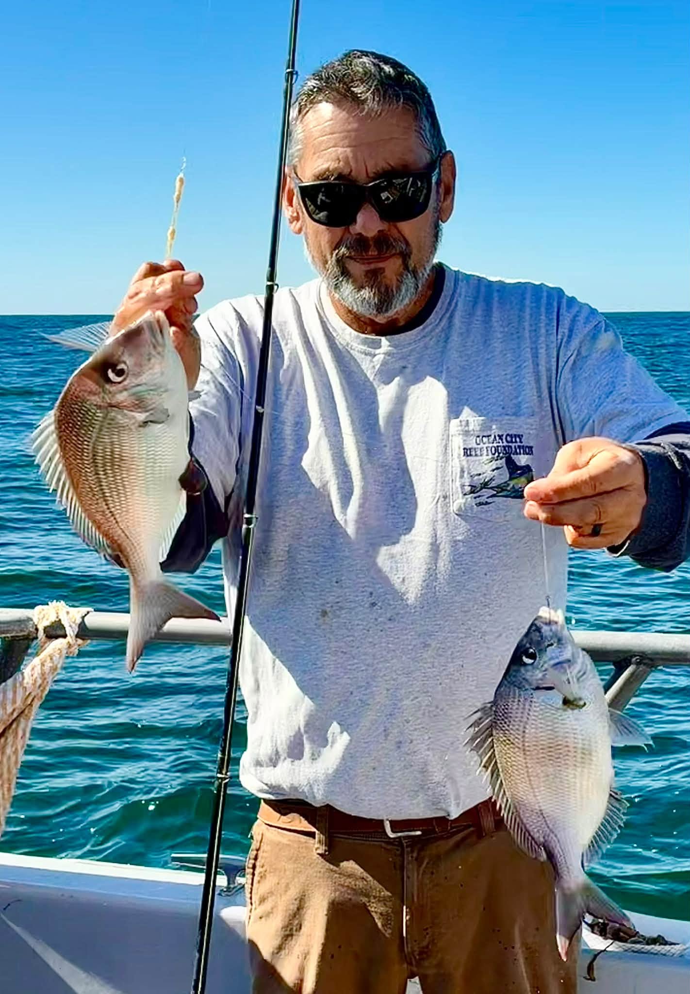 Sea Bass, Porgy and Rockfish at Route 90