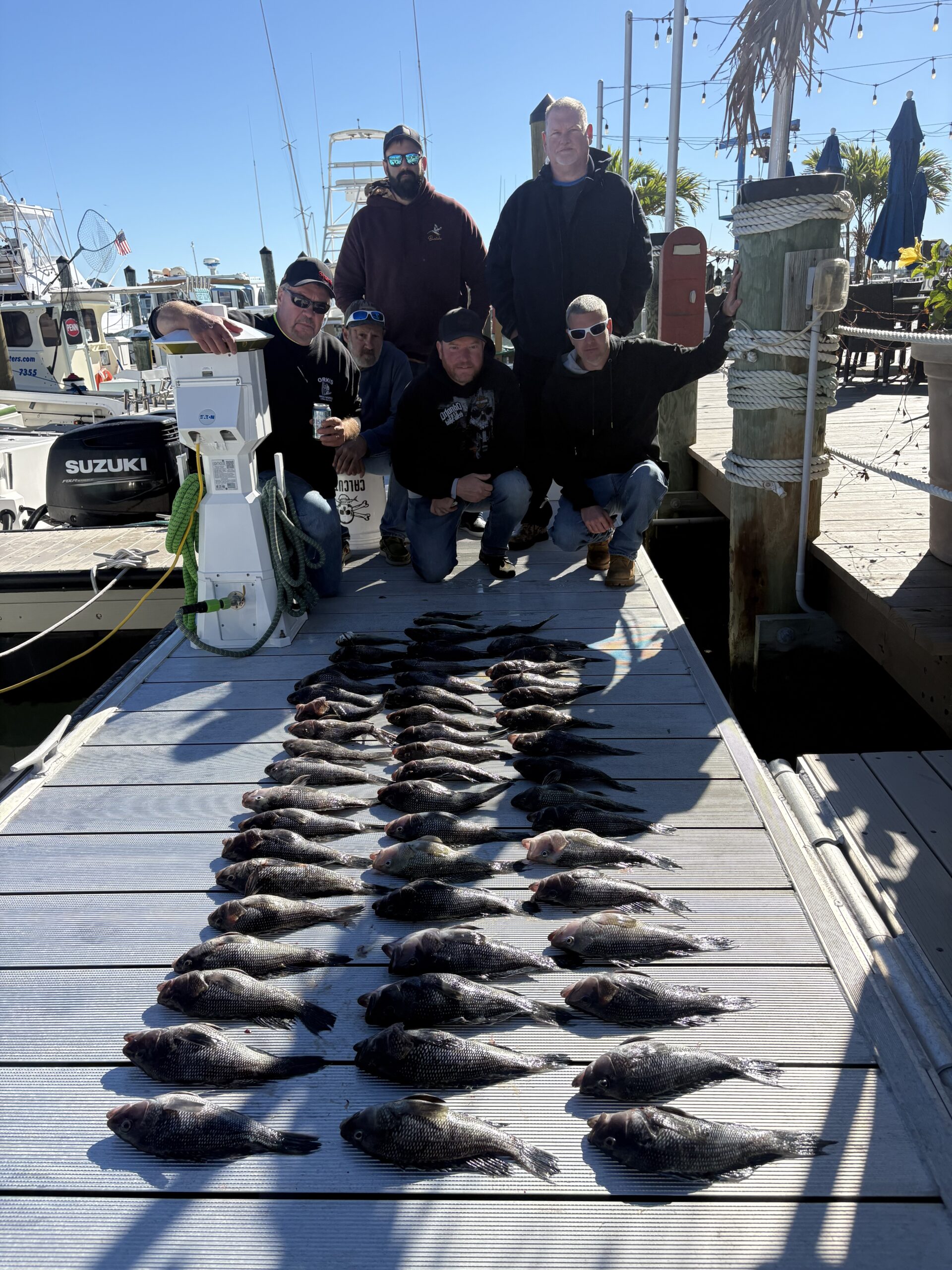 Good Sea Bass Bite With Some Back Bay Flounder