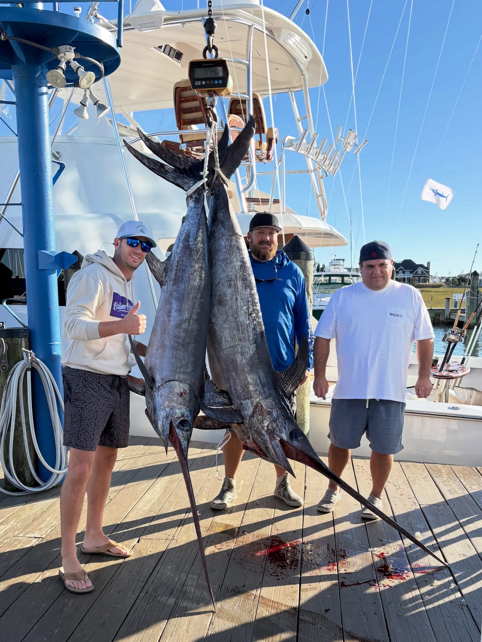 Nice Swordfish