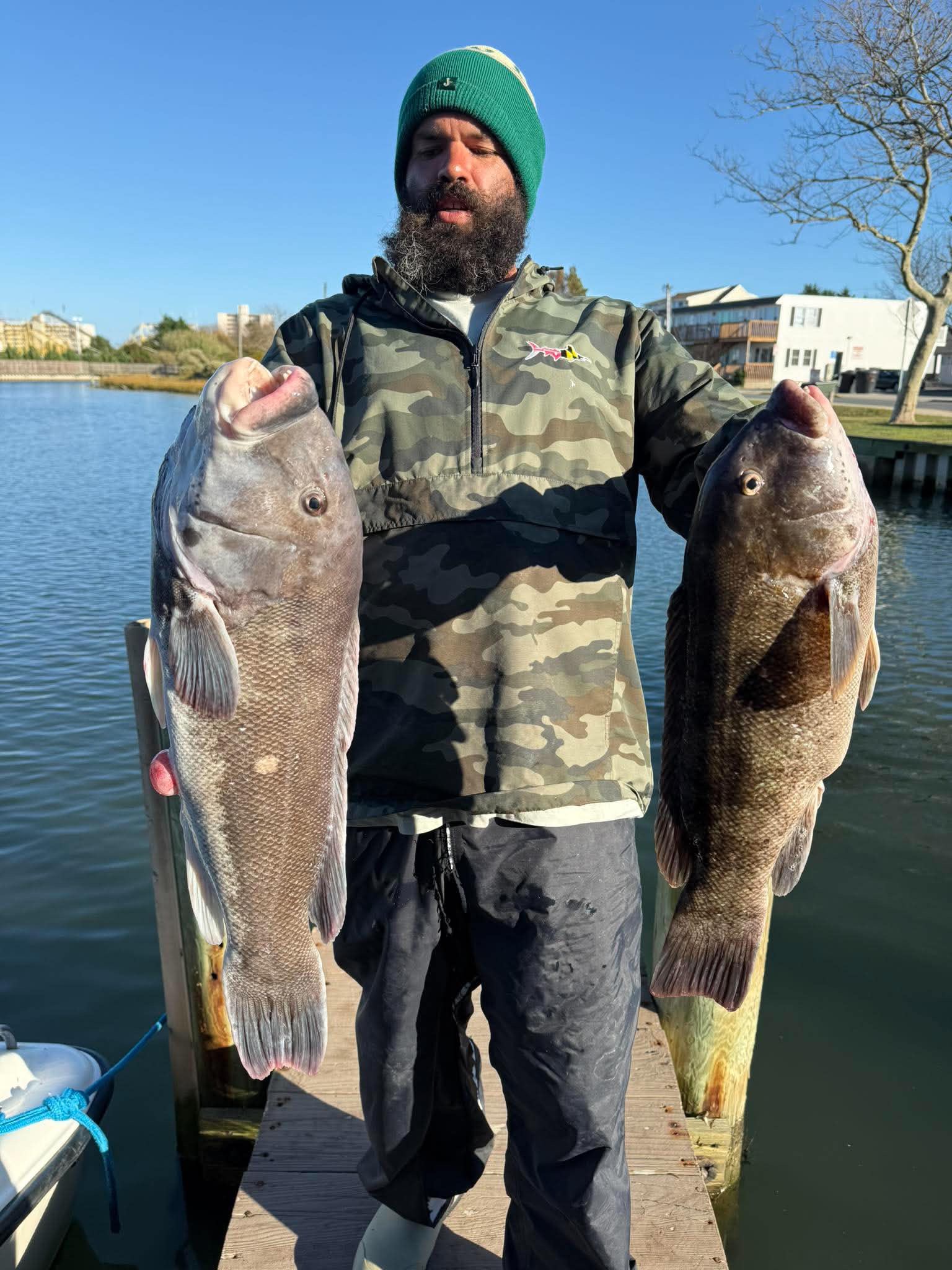 Tautog, Sea Bass and A Few Scup