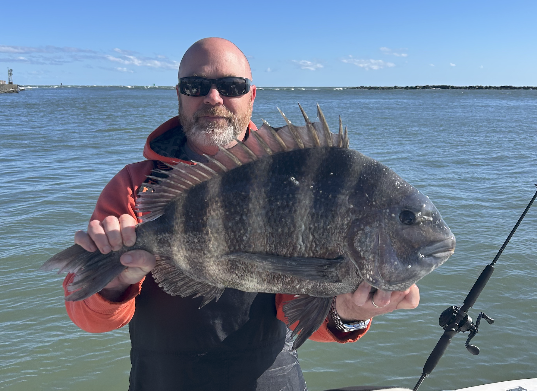Sheepshead, Tautog and Rockfish On A Blustery Saturday